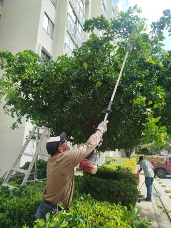 jardineria_y_poda_arviclean_w10