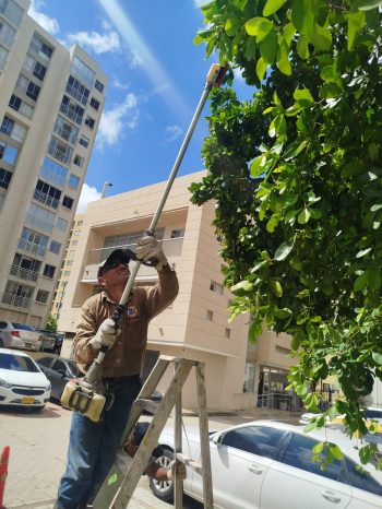 jardineria_y_poda_arviclean_w9